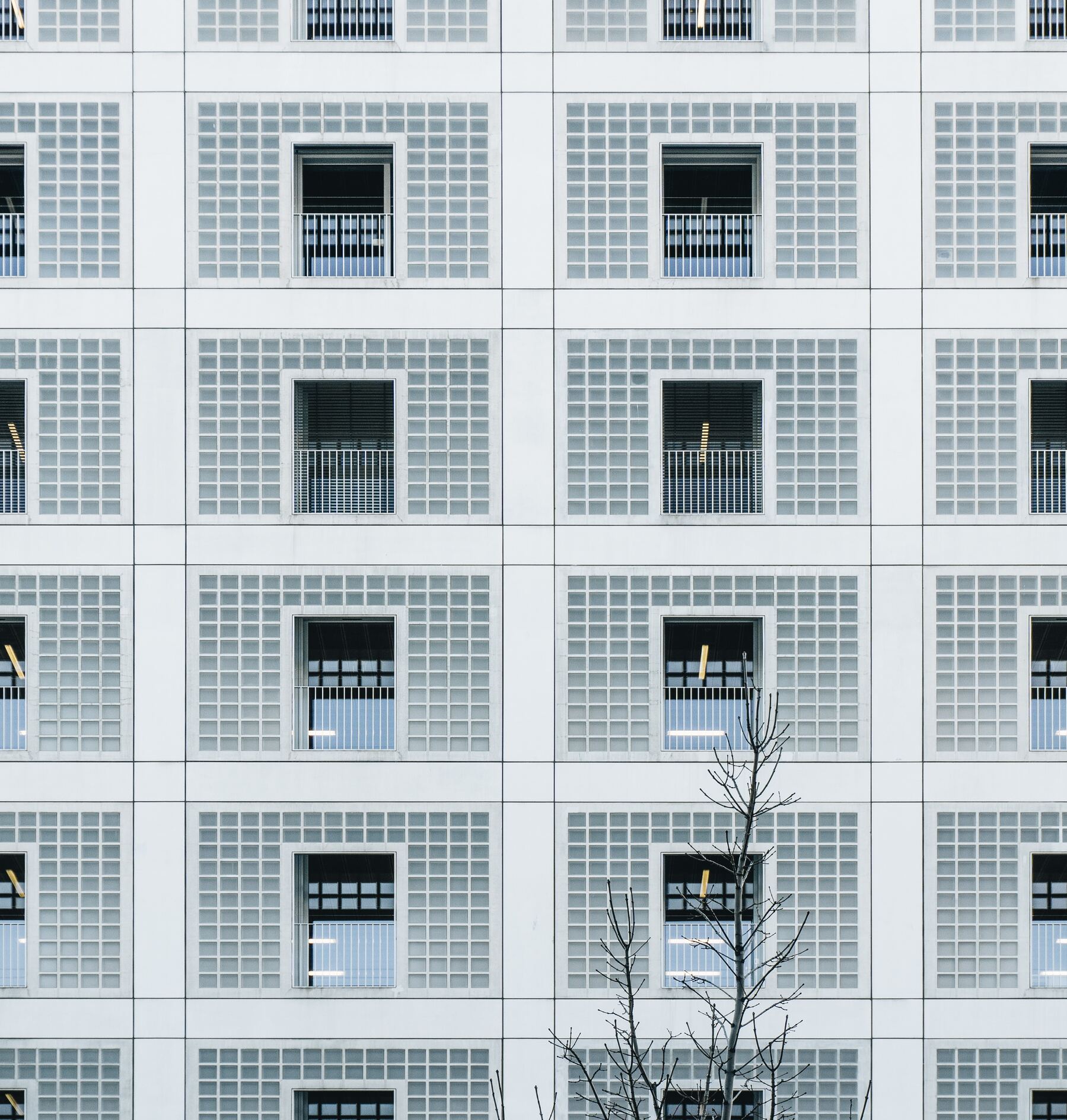 Imagem do conteúdo 1